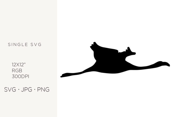 Silhouette of a Flamingo Bird